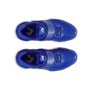 UA Unisex Curry Fox 1 'Lexington' Basketball Shoes | 6001924