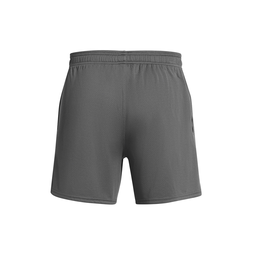 UA Men Tech 6in Mesh Shorts | 1386970