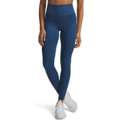 UA Women Meridian Leggings | 1382522