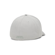 UA Men Blitzing Low Stretch Fit Cap | 1376700