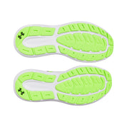UA Men Charged Rogue 5 Running Shoes | 3028256