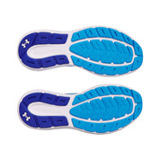 UA Men Charged Rogue 5 Running Shoes | 3028256